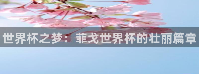 足球比分直播世界杯:世界杯之梦:菲戈世界杯的壮丽篇章