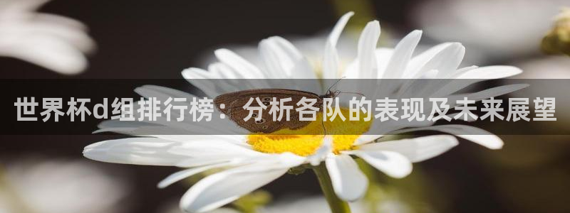 英格兰联赛杯直播:世界杯d组排行榜:分析各队的表现及未来展望