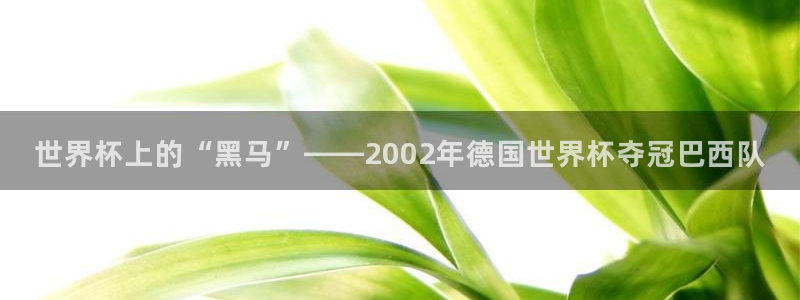2026世界杯赛程时间表最新:世界杯上的“黑马”——2002年德国世界杯夺冠巴西队