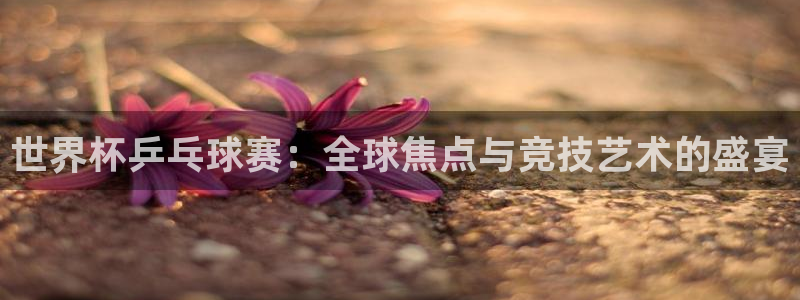 世界杯欧洲预选赛:世界杯乒乓球赛:全球焦点与竞技艺术的盛宴
