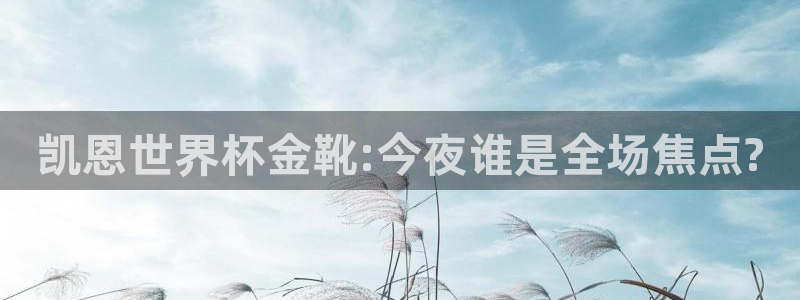 世界直播:凯恩世界杯金靴:今夜谁是全场焦点?