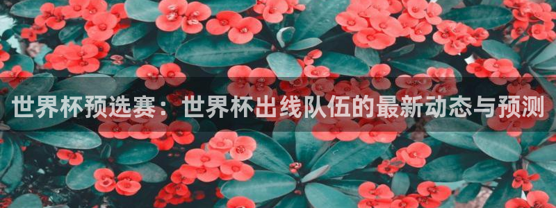 世界杯 赛程:世界杯预选赛:世界杯出线队伍的最新动态与预测